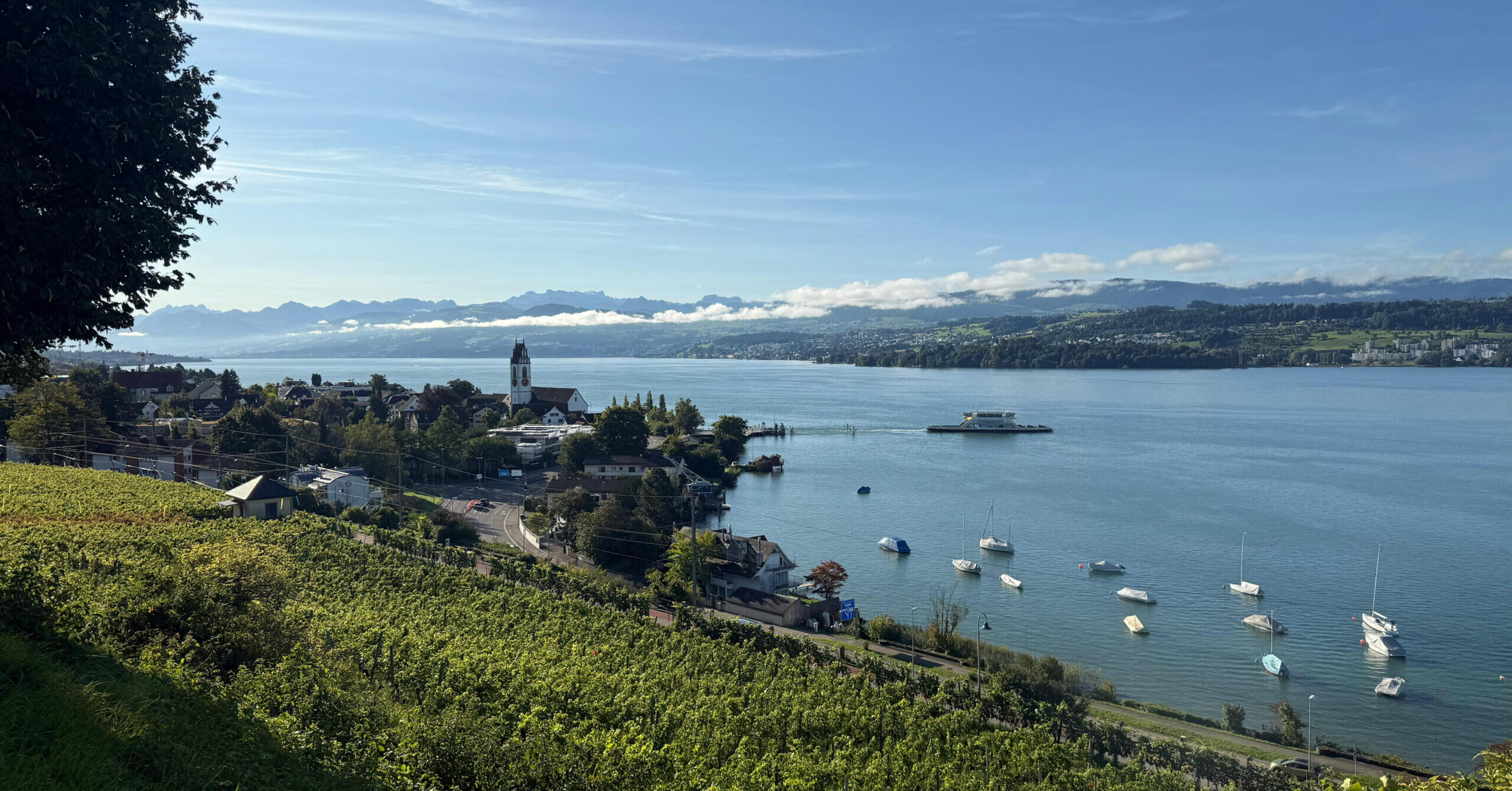 Hintergrundbild Wir freuen uns auf Ihre Rückmeldungen!